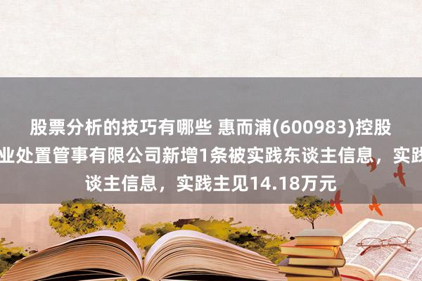 股票分析的技巧有哪些 惠而浦(600983)控股的合肥惠而浦企业处置管事有限公司新增1条被实践东谈主信息，实践主见14.18万元