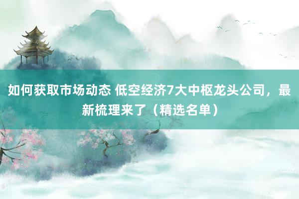 如何获取市场动态 低空经济7大中枢龙头公司，最新梳理来了（精选名单）