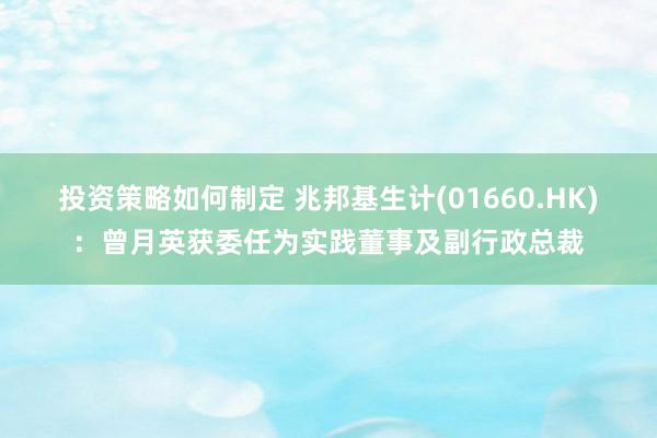 投资策略如何制定 兆邦基生计(01660.HK)：曾月英获委任为实践董事及副行政总裁