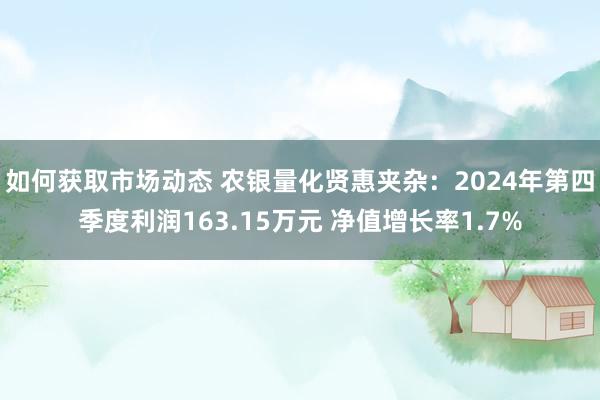 如何获取市场动态 农银量化贤惠夹杂：2024年第四季度利润163.15万元 净值增长率1.7%