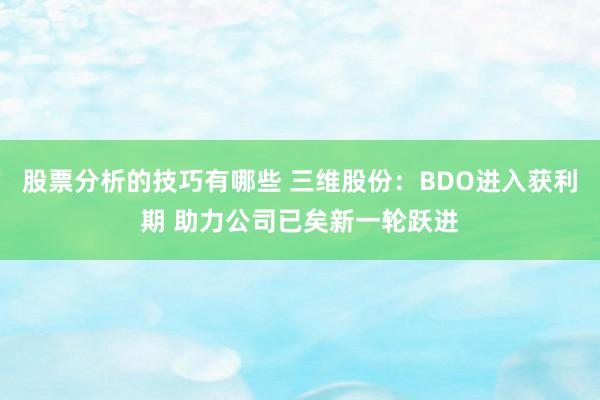 股票分析的技巧有哪些 三维股份：BDO进入获利期 助力公司已矣新一轮跃进