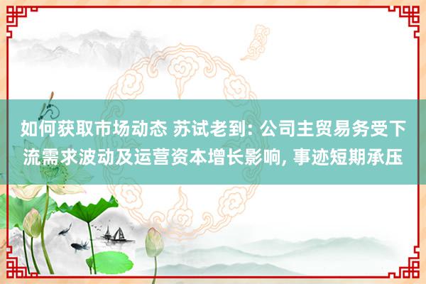 如何获取市场动态 苏试老到: 公司主贸易务受下流需求波动及运营资本增长影响, 事迹短期承压