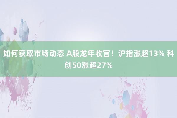 如何获取市场动态 A股龙年收官！沪指涨超13% 科创50涨超27%