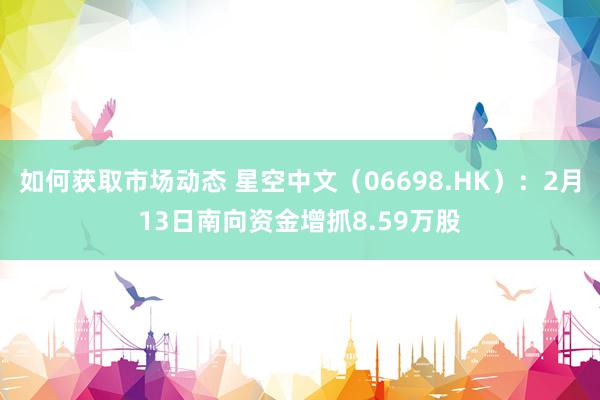 如何获取市场动态 星空中文（06698.HK）：2月13日南向资金增抓8.59万股