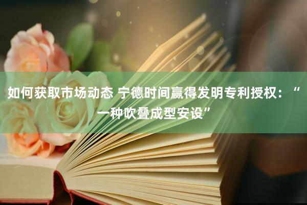 如何获取市场动态 宁德时间赢得发明专利授权：“一种吹叠成型安设”