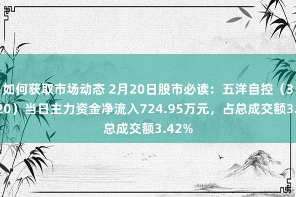 如何获取市场动态 2月20日股市必读：五洋自控（300420）当日主力资金净流入724.95万元，占总成交额3.42%