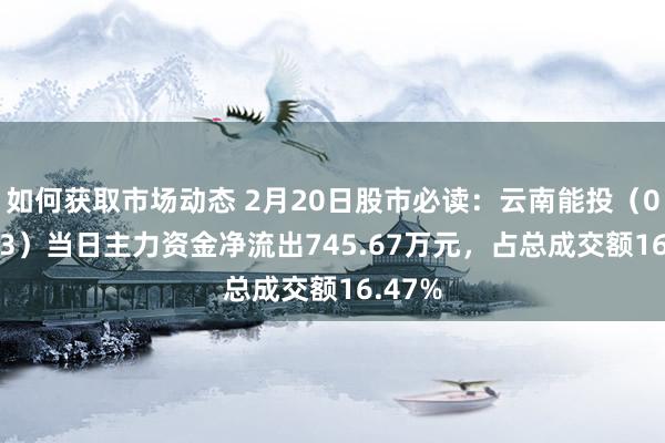 如何获取市场动态 2月20日股市必读：云南能投（002053）当日主力资金净流出745.67万元，占总成交额16.47%