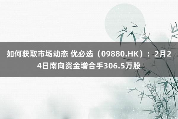 如何获取市场动态 优必选（09880.HK）：2月24日南向资金增合手306.5万股