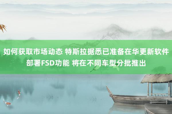 如何获取市场动态 特斯拉据悉已准备在华更新软件部署FSD功能 将在不同车型分批推出