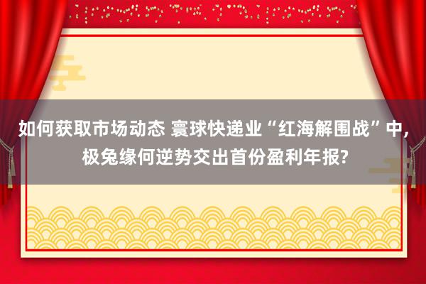 如何获取市场动态 寰球快递业“红海解围战”中, 极兔缘何逆势交出首份盈利年报?