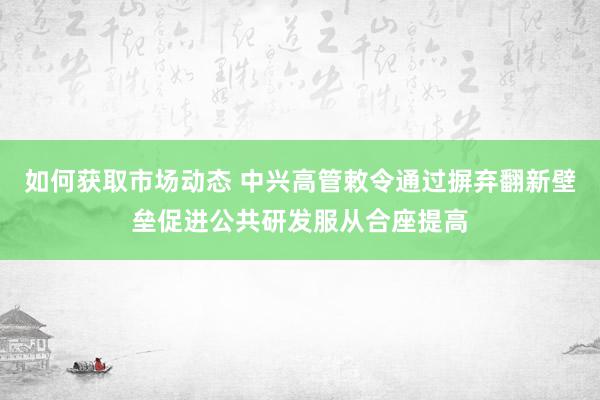 如何获取市场动态 中兴高管敕令通过摒弃翻新壁垒促进公共研发服从合座提高