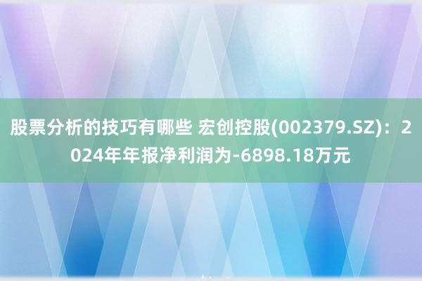 股票分析的技巧有哪些 宏创控股(002379.SZ)：2024年年报净利润为-6898.18万元